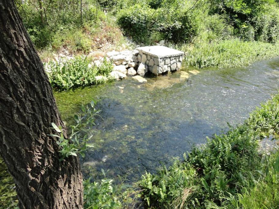 Water Spring Villa Hrvace Exterior foto