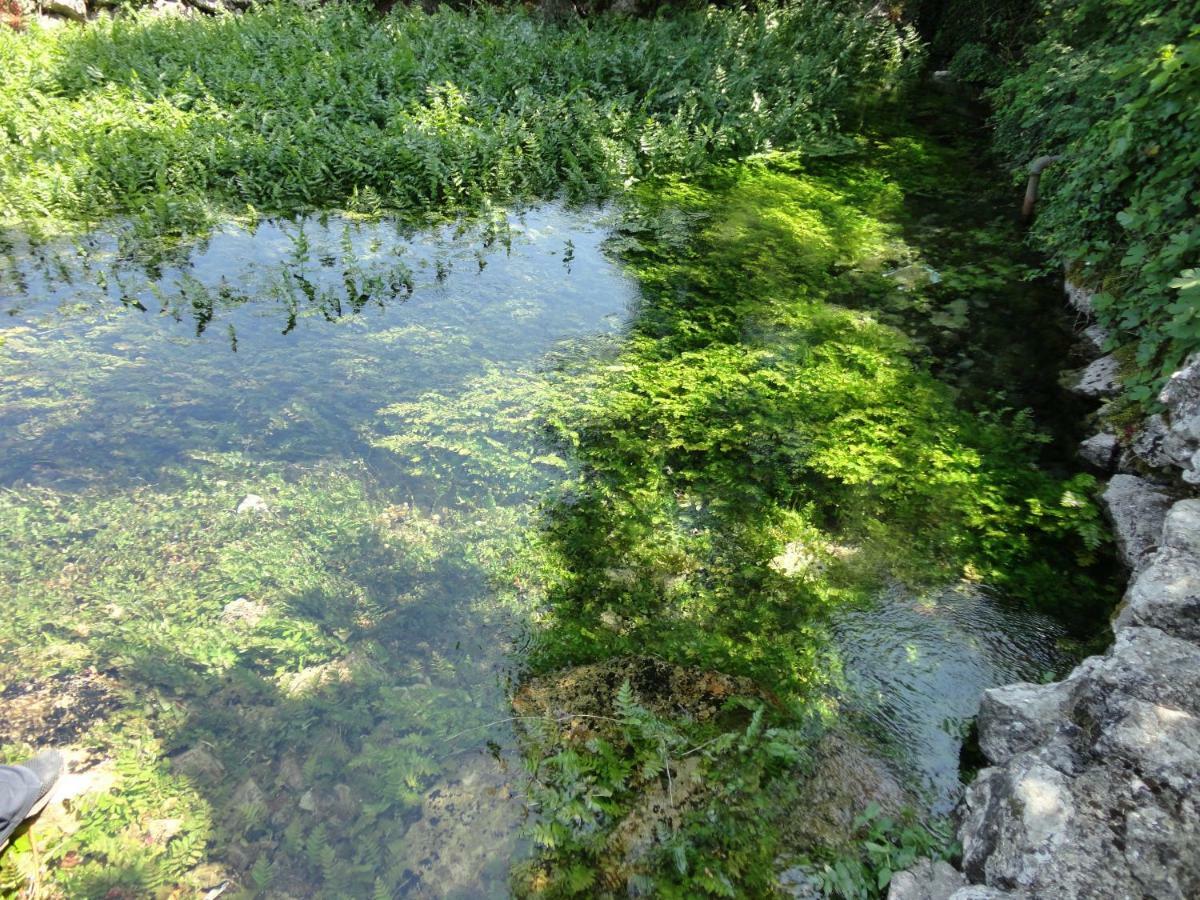 Water Spring Villa Hrvace Exterior foto